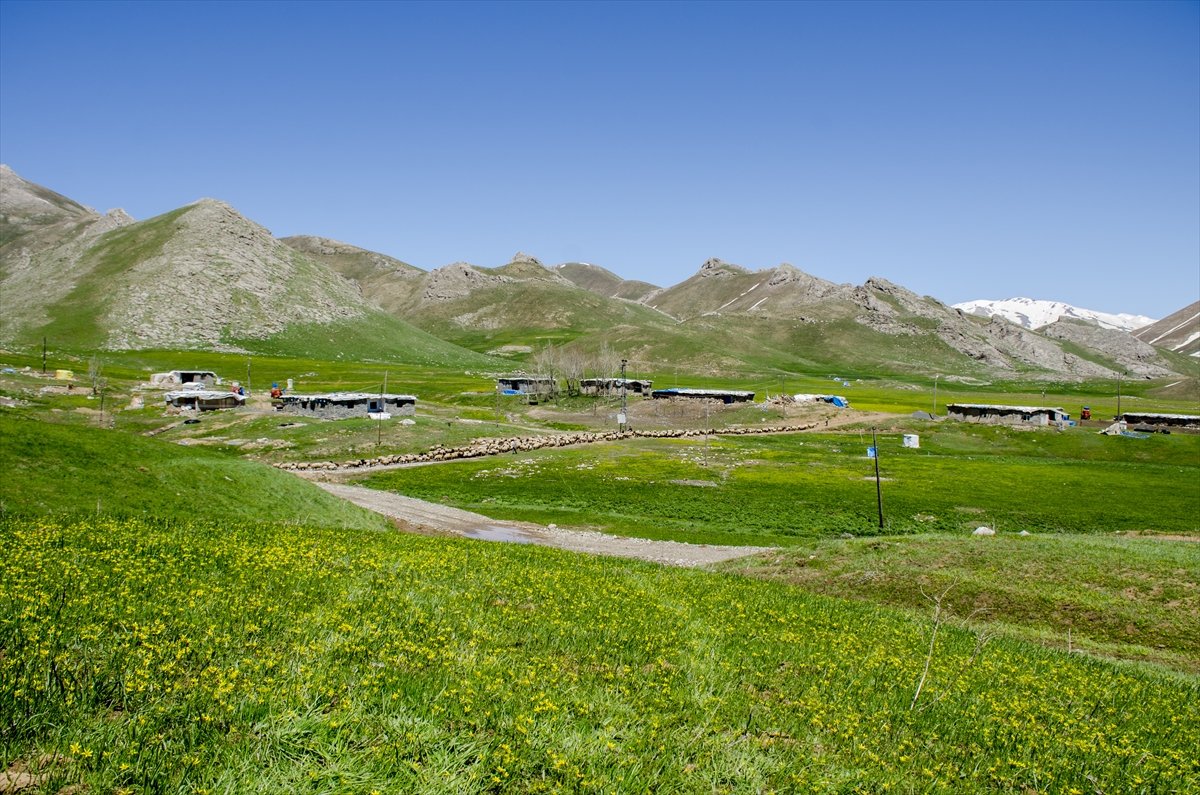 Faraşin Yaylası'ndan kartpostallık kareler