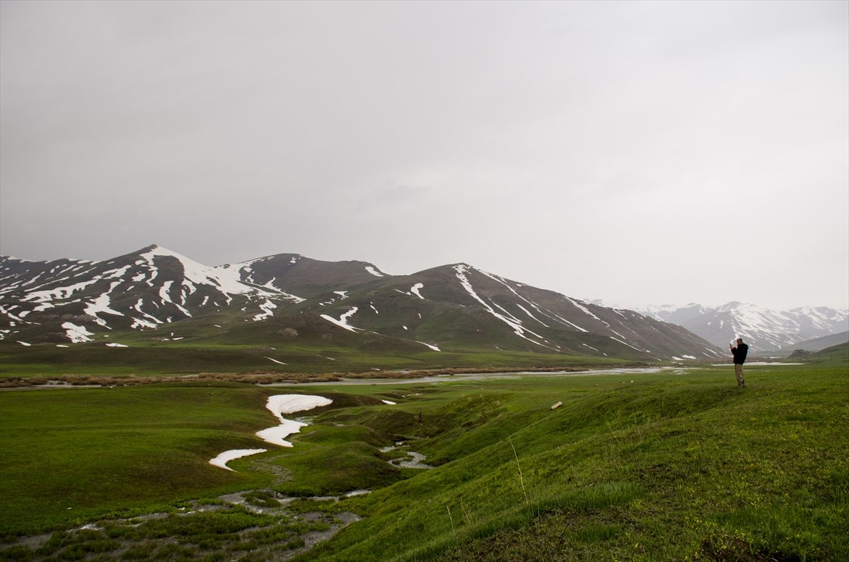 Faraşin Yaylası'ndan kartpostallık kareler