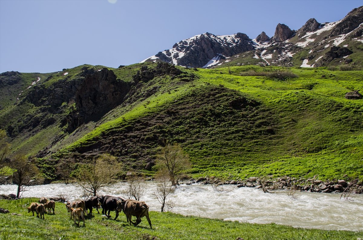 Faraşin Yaylası'ndan kartpostallık kareler
