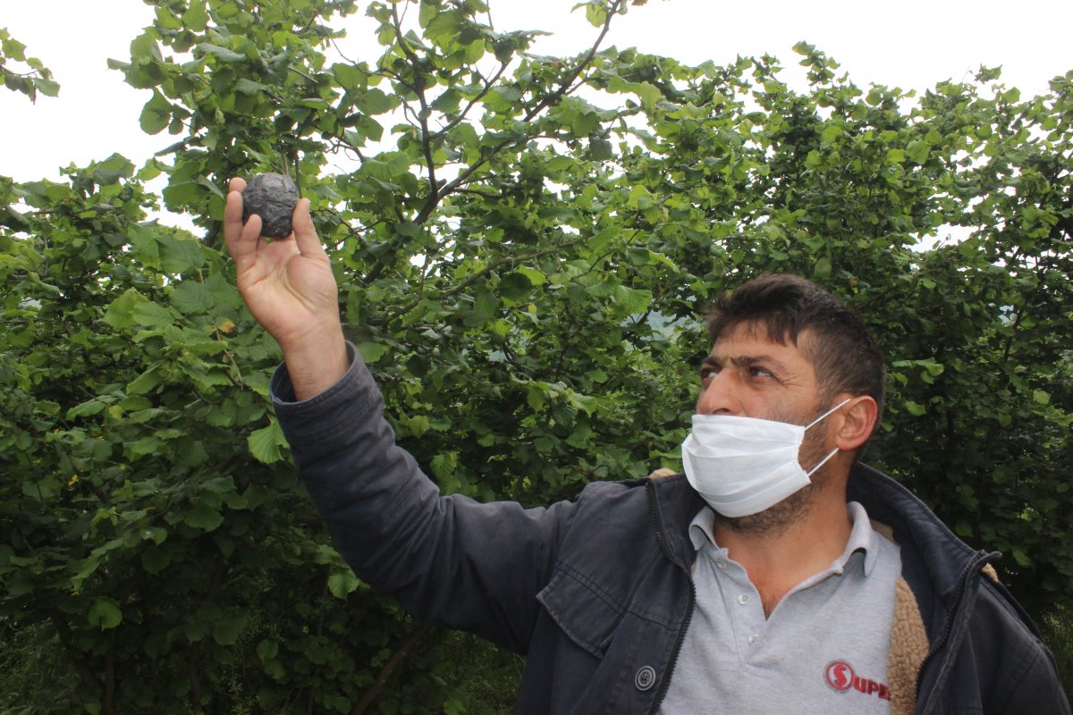 Düzce'de ot biçerken bahçede göktaşı buldu