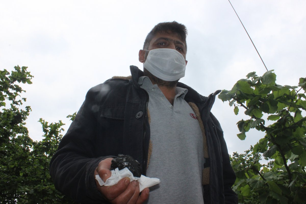 Düzce'de ot biçerken bahçede göktaşı buldu