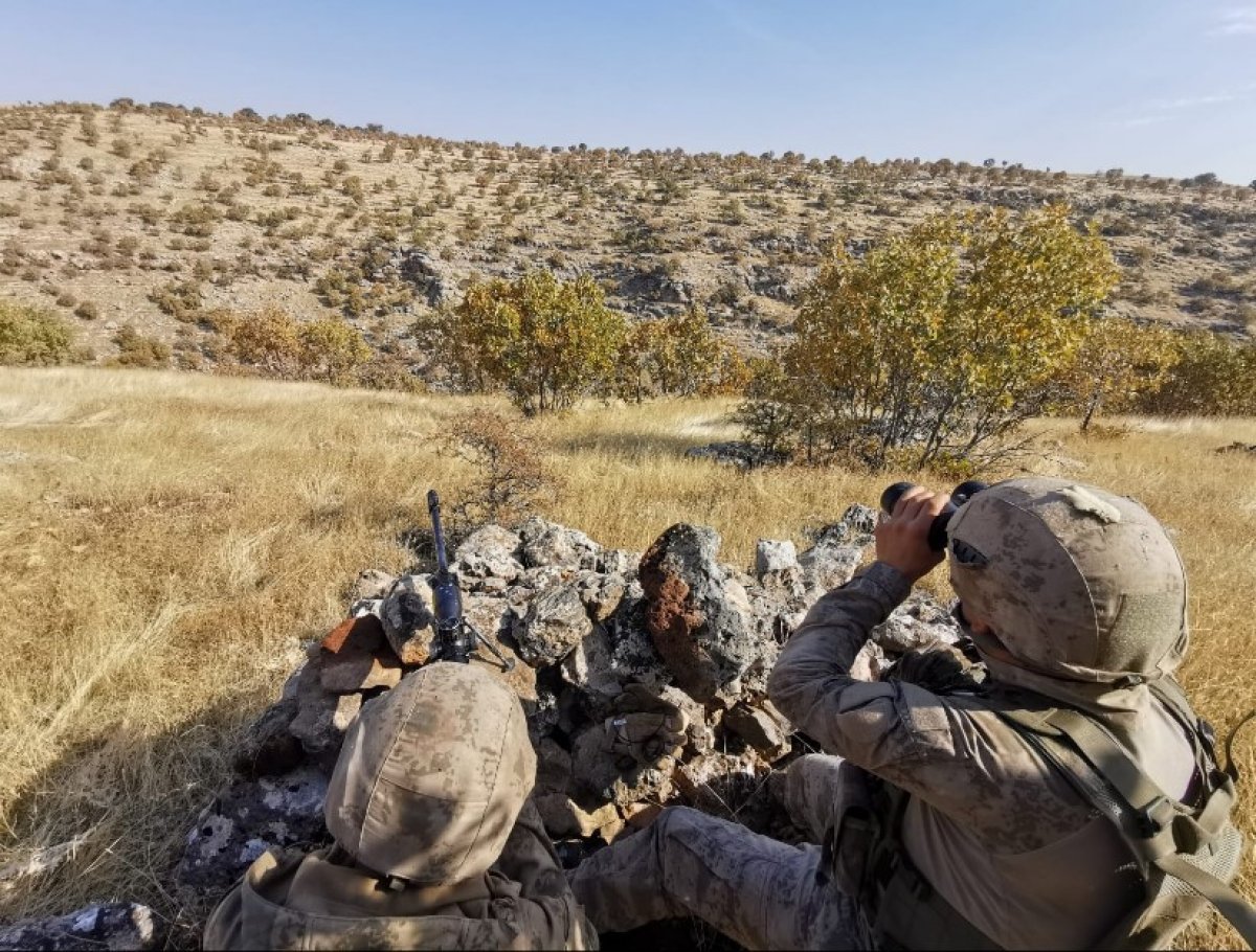 i Mardin'de PKK operasyonu: 9 gözaltı