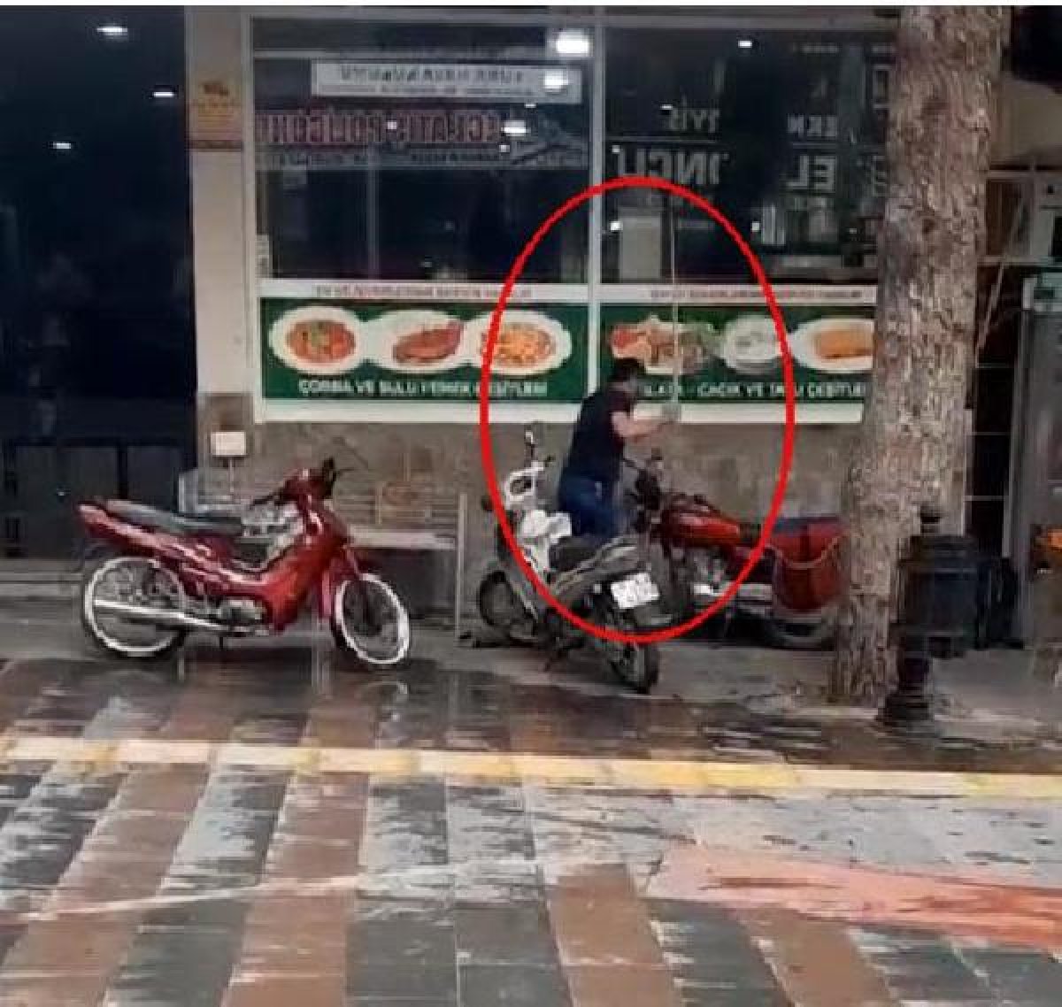 Manisa'da sokak köpeğini fırça sapıyla dövdü