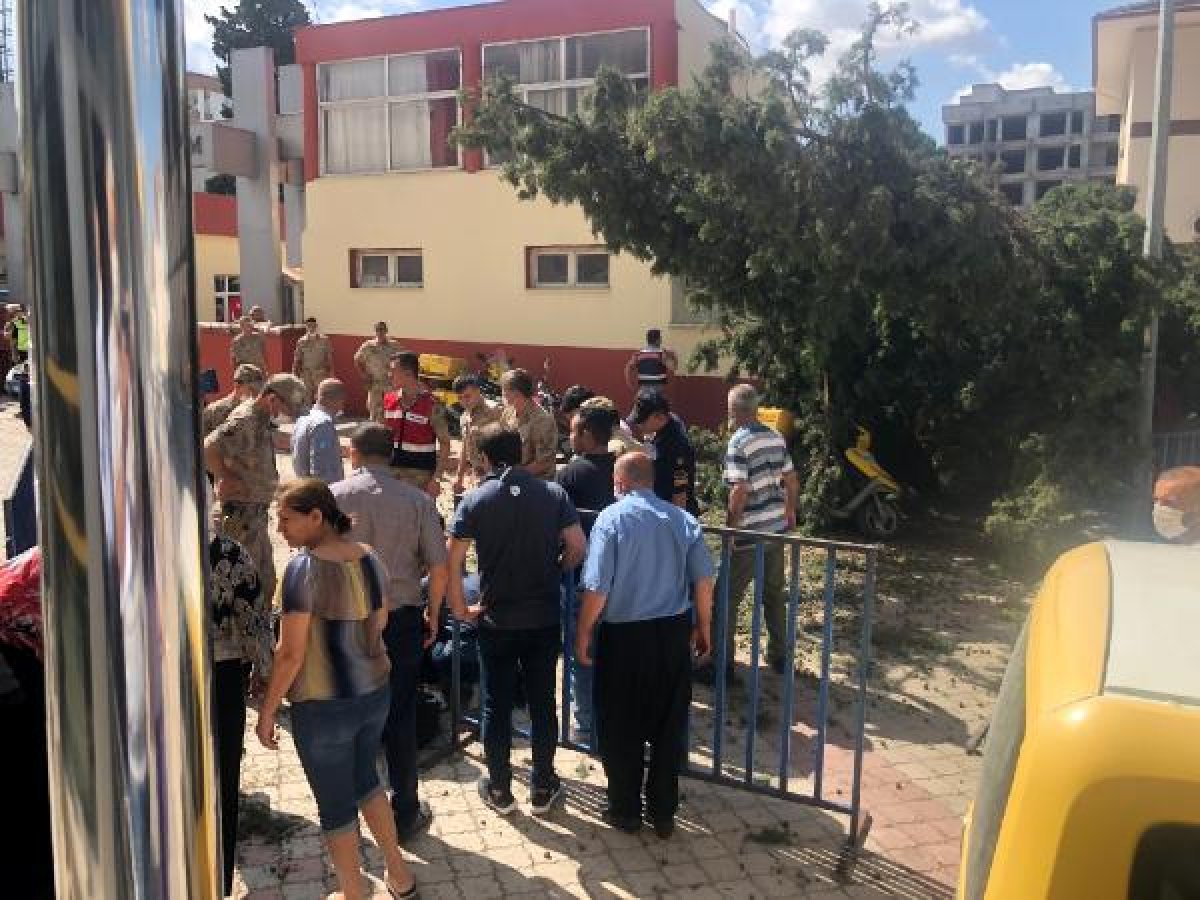 d Osmaniye'de postacı, kesilen ağacın altında kaldı