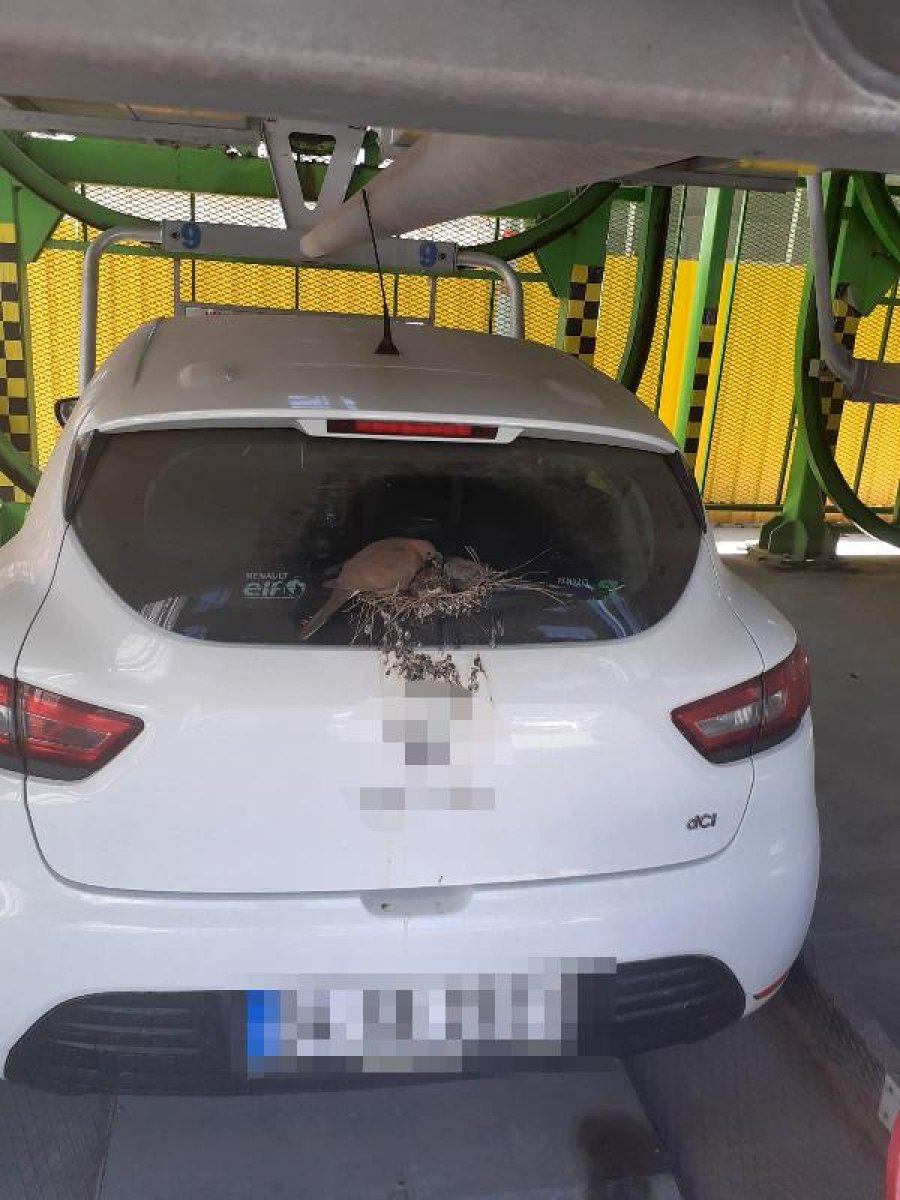 dha Kuşlar yuva yaptı diye 2 aydır aracını kullanmıyor