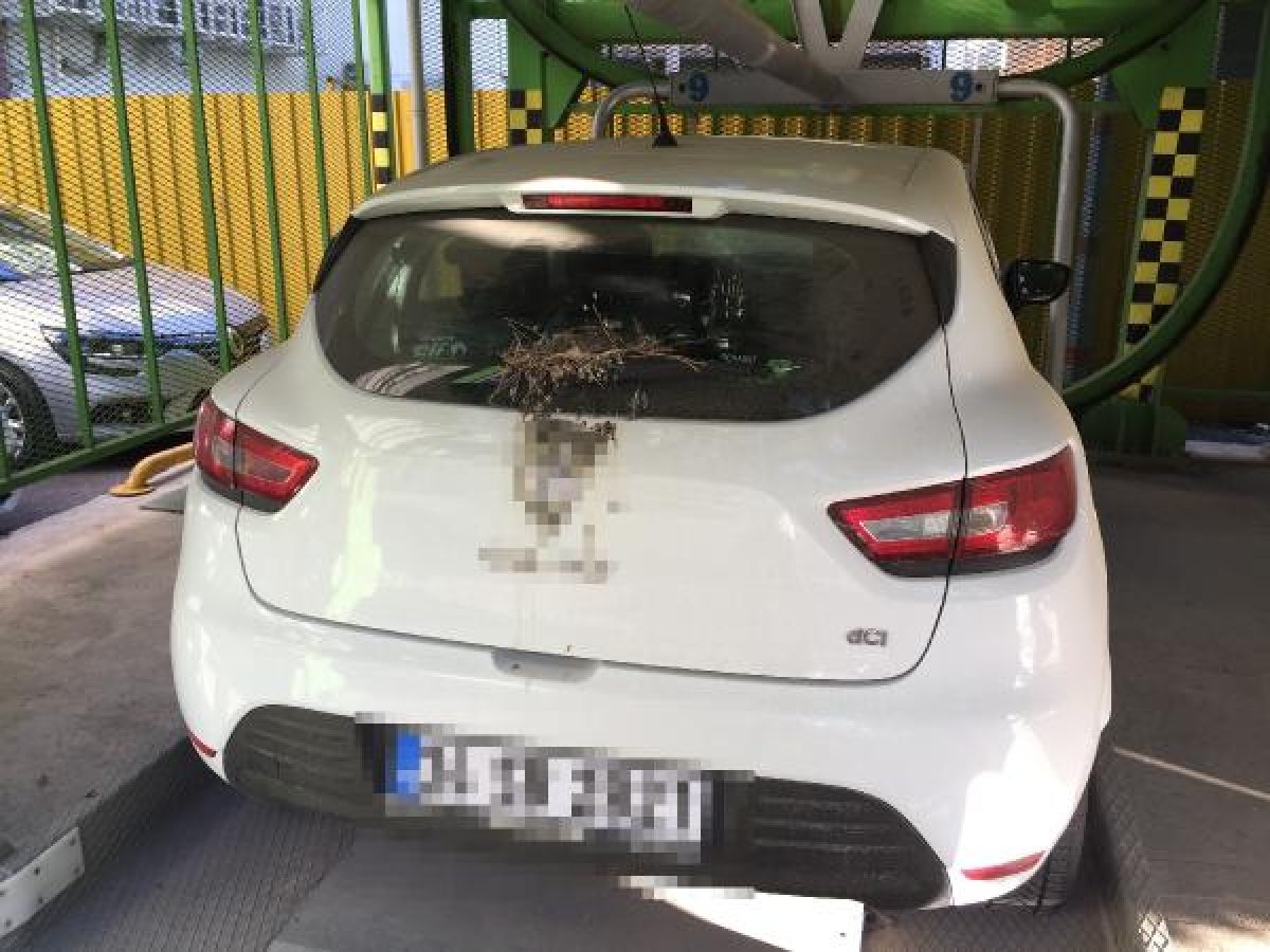 dha Kuşlar yuva yaptı diye 2 aydır aracını kullanmıyor