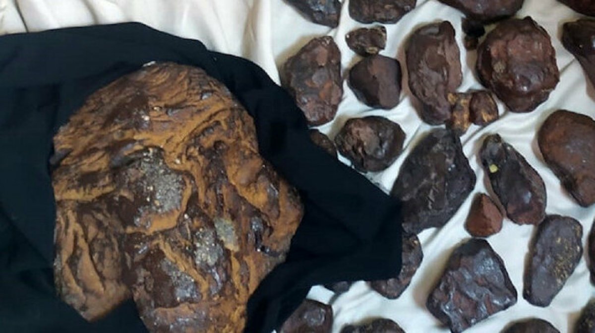 Balina kusmuğu nedir