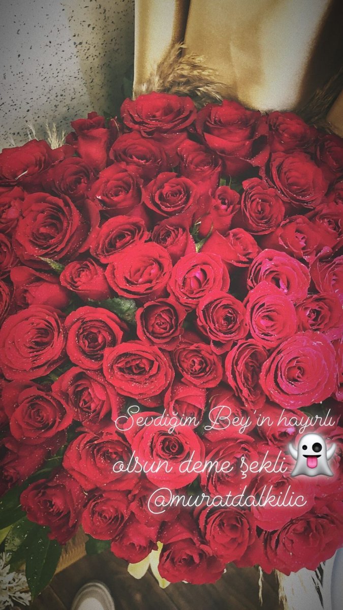 Murat Dalkılıç'tan Hande Erçel'e gül jesti