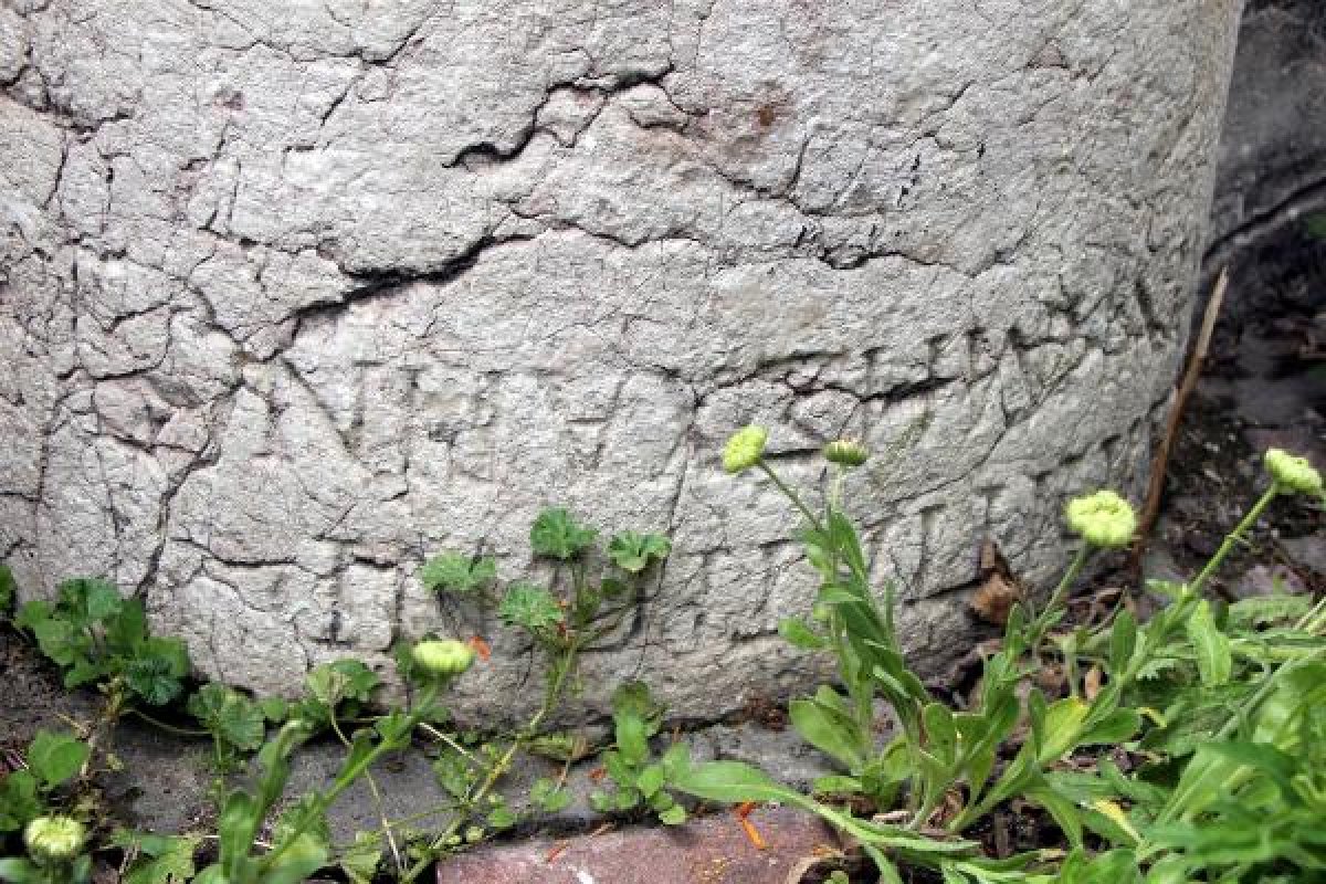 dha Bolu'da tarihi sütunun üstüne duvar ördüler