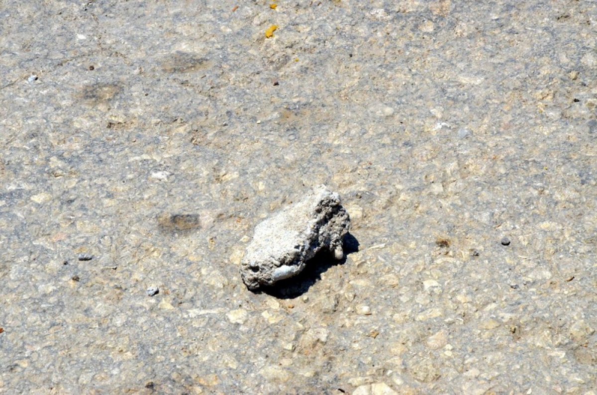 Antalya'da karantina uzatıldı, mahalleli polise taş attı