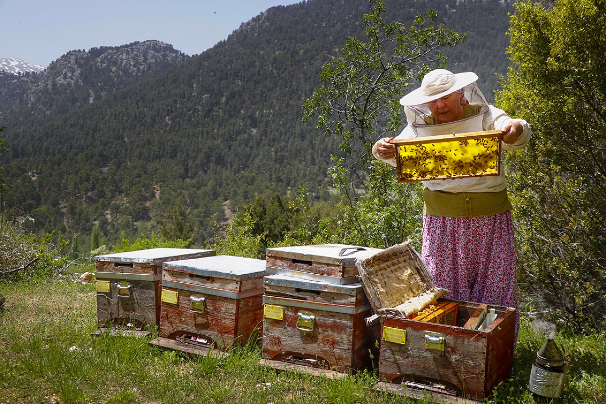 Eşinin miras bıraktığı arılarla geçiniyor