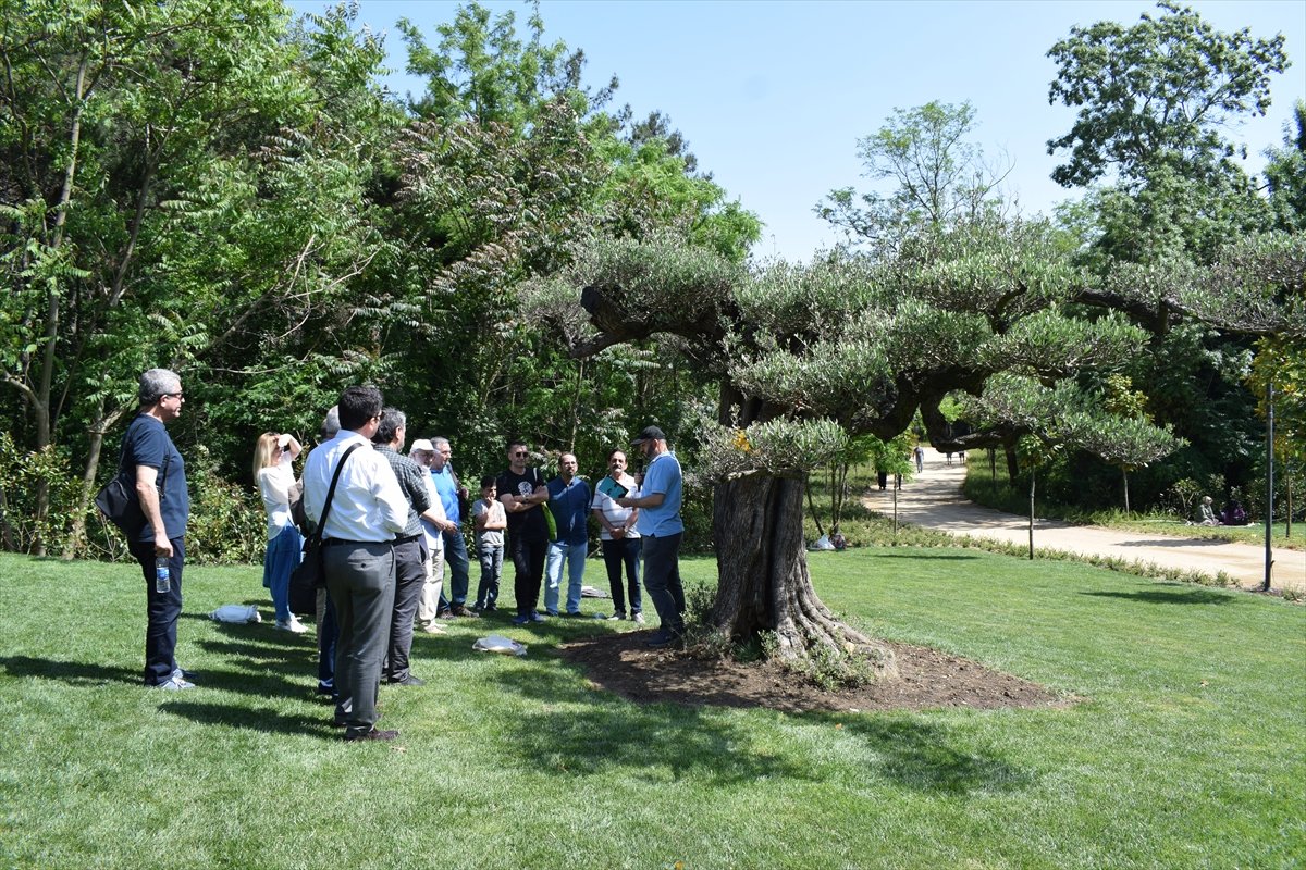 Şair Cahit Zarifoğlu, mezarında şiirleriyle anıldı