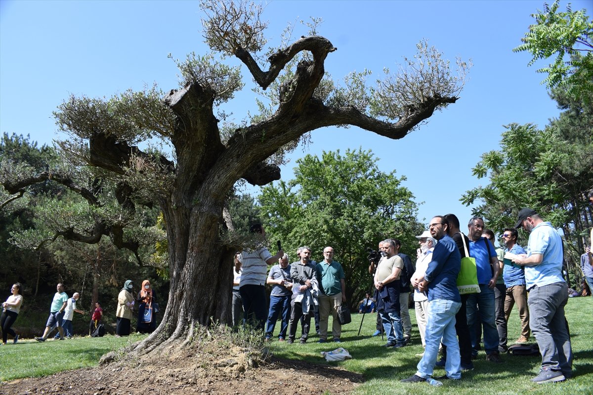 Şair Cahit Zarifoğlu, mezarında şiirleriyle anıldı