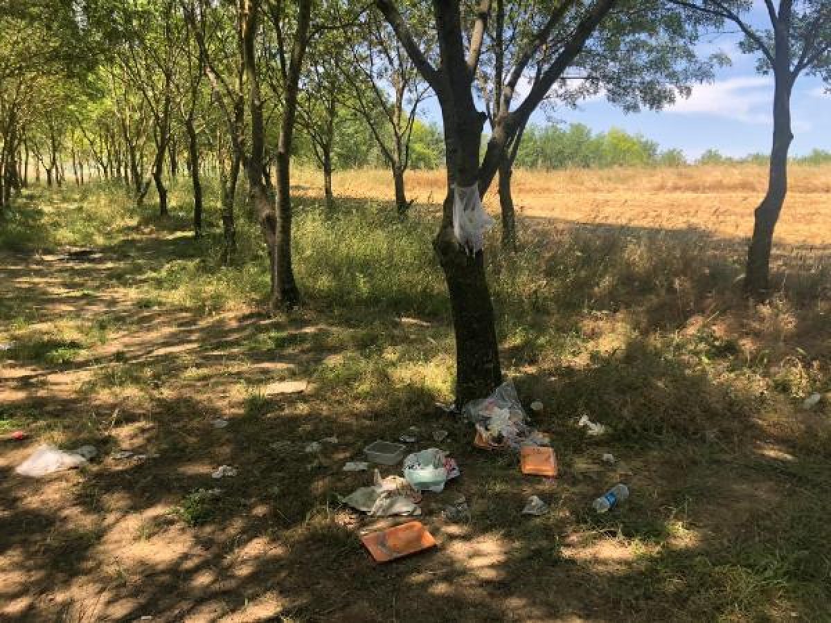 Arnavutköy'de piknik yapanlardan geriye çöpler kaldı