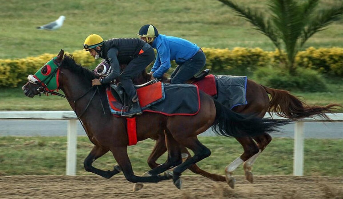 At yarışları yeniden başladı