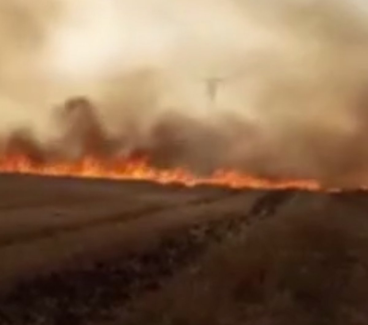 YPG/PKK Resulayn'da, 20 bin dönüm tarım arazisini yaktı