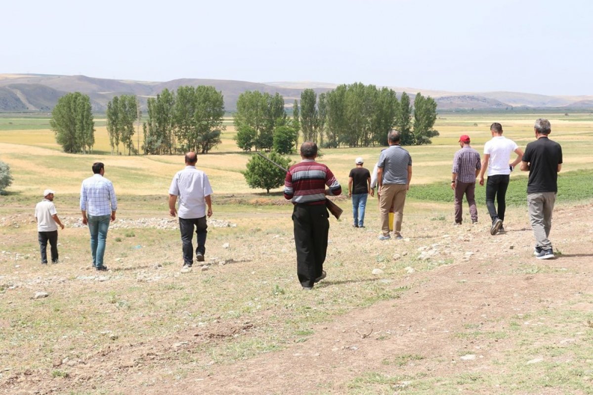 dha Çorum'da köylülerin 'aslan' korkusu devam ediyor