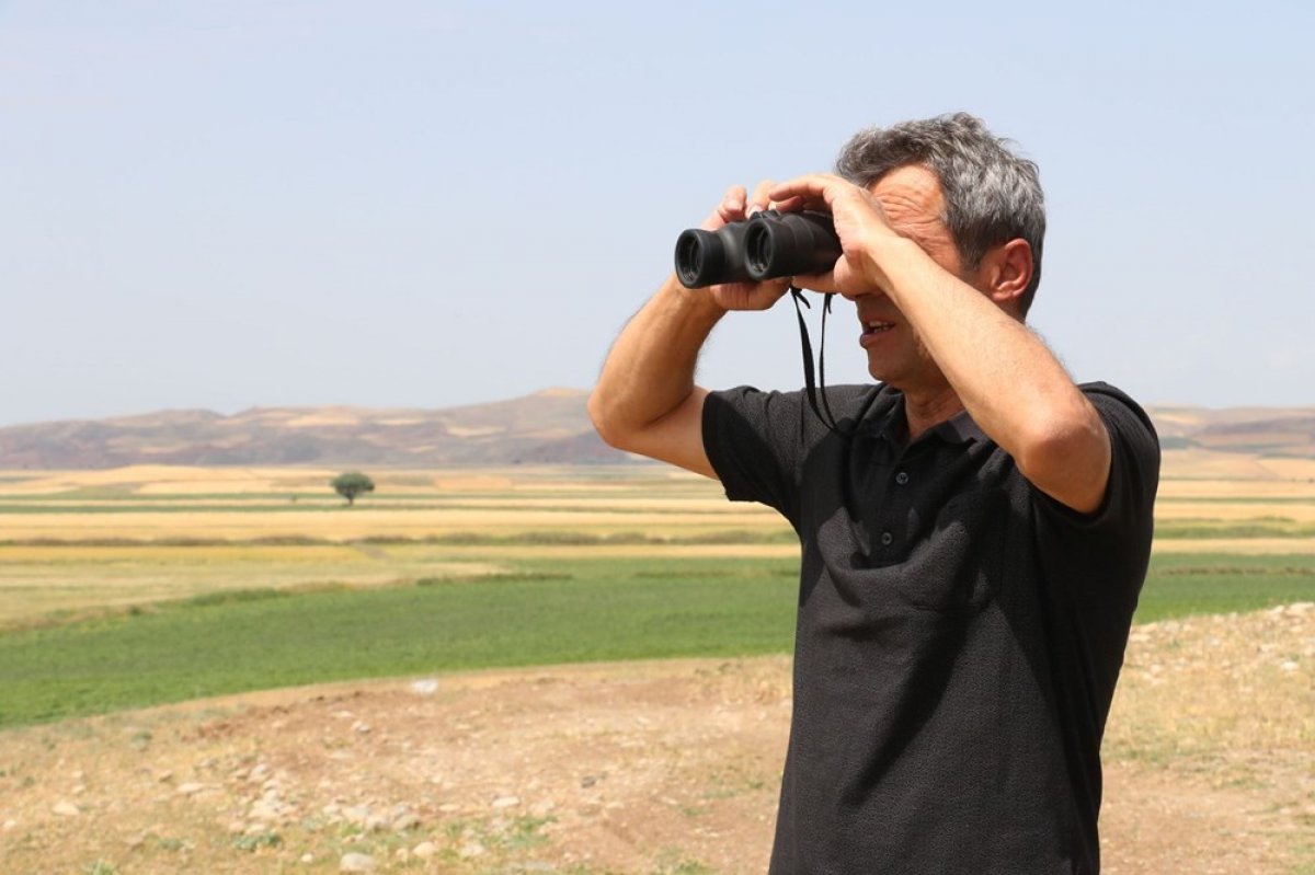 dha Çorum'da köylülerin 'aslan' korkusu devam ediyor