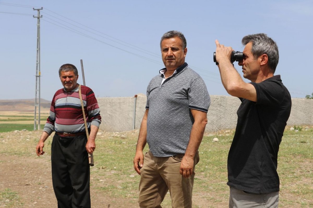 dha Çorum'da köylülerin 'aslan' korkusu devam ediyor