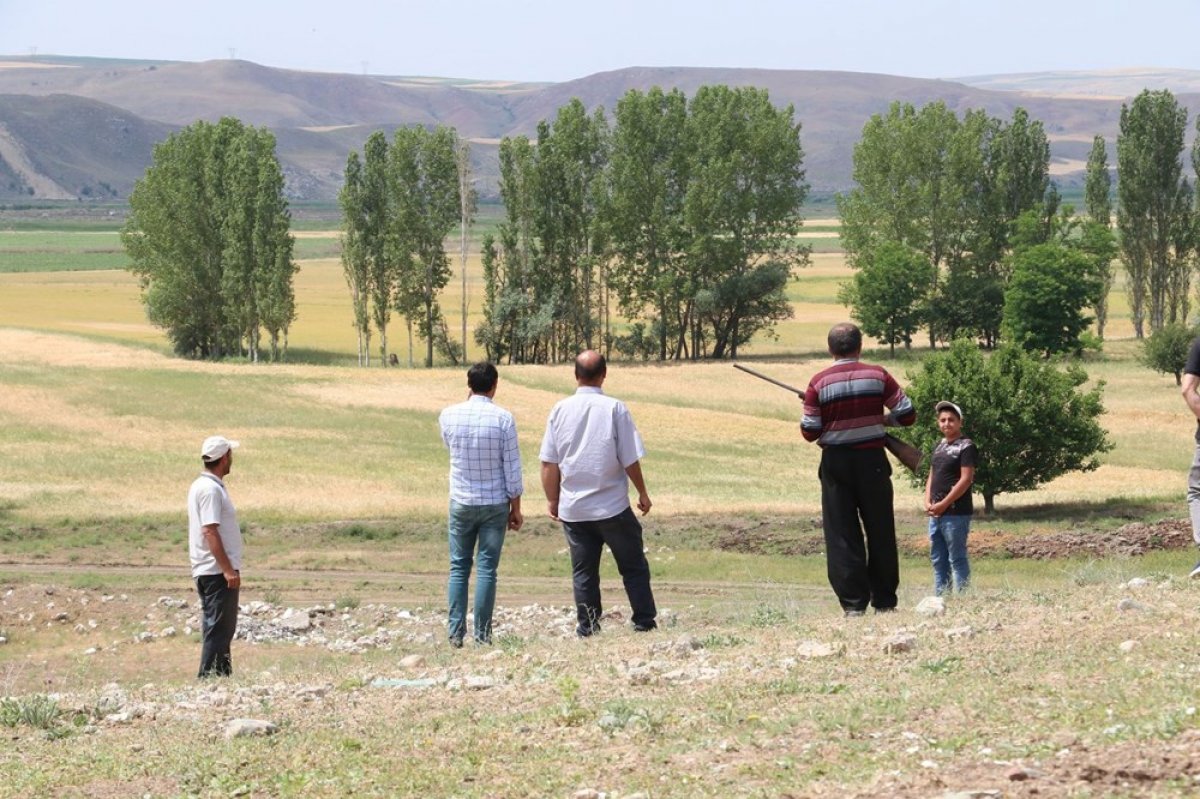 dha Çorum'da köylülerin 'aslan' korkusu devam ediyor