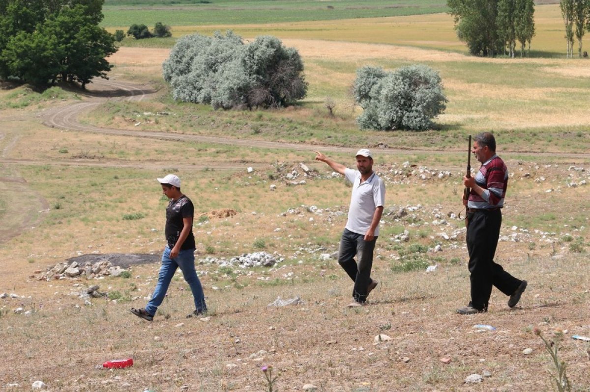 dha Çorum'da köylülerin 'aslan' korkusu devam ediyor