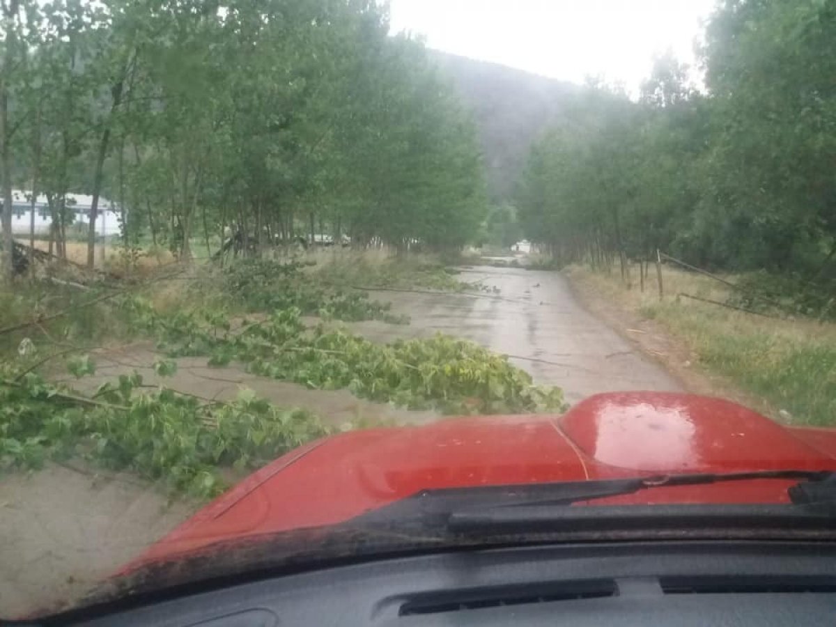 i Bilecik'te şiddetli rüzgar ağaçları kökünden söktü
