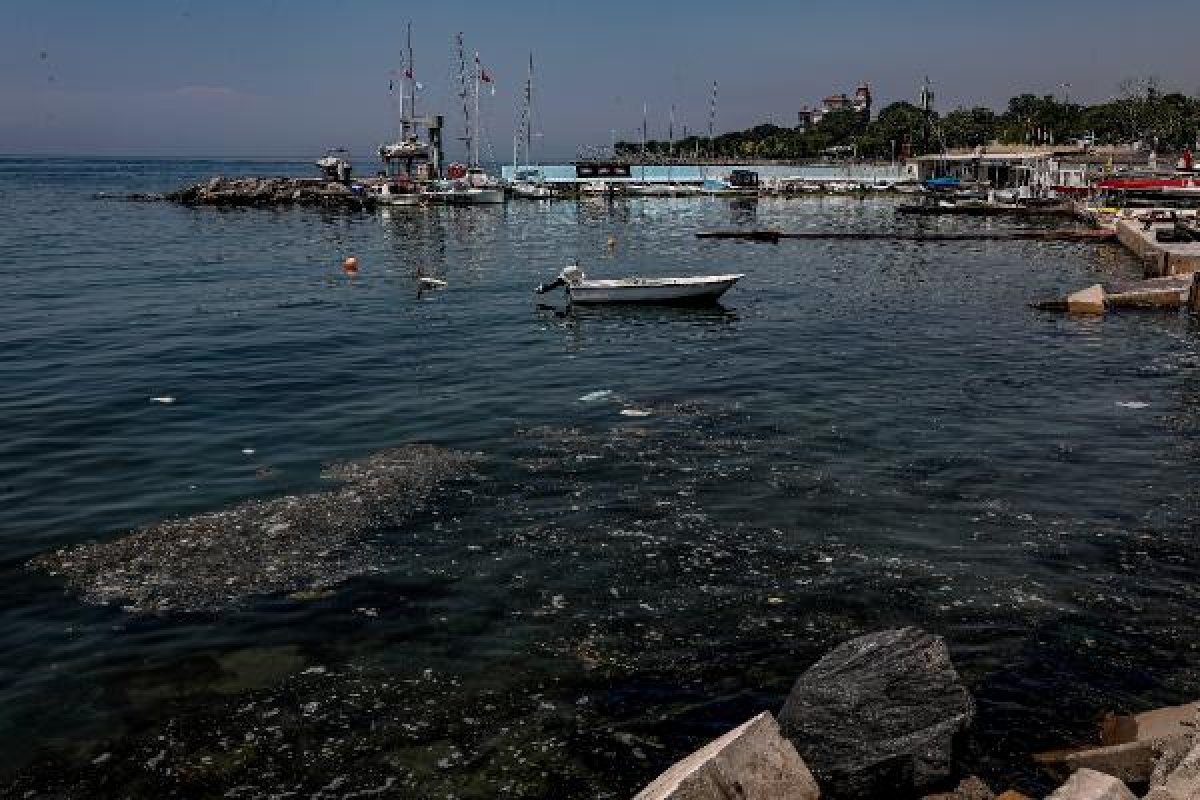 dha Caddebostan Sahili'nde denizin kıyısı pislik içinde