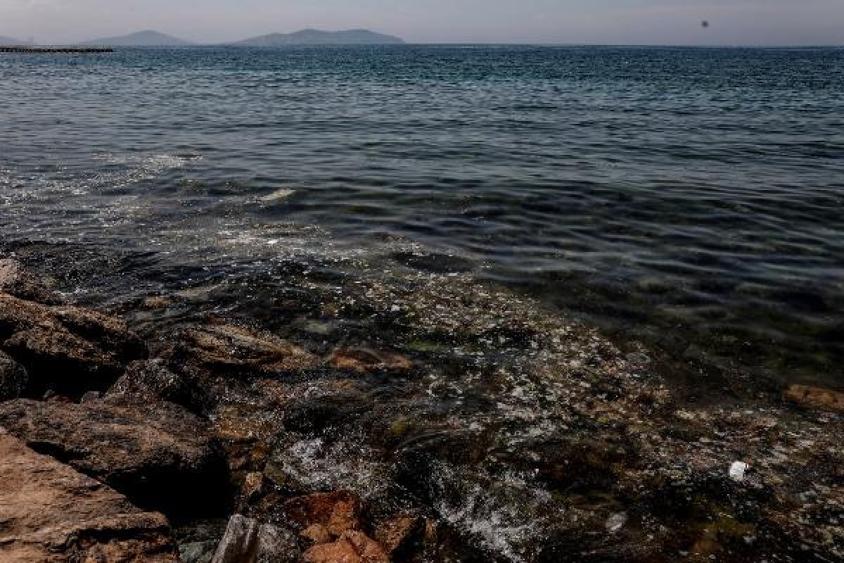 dha Caddebostan Sahili'nde denizin kıyısı pislik içinde