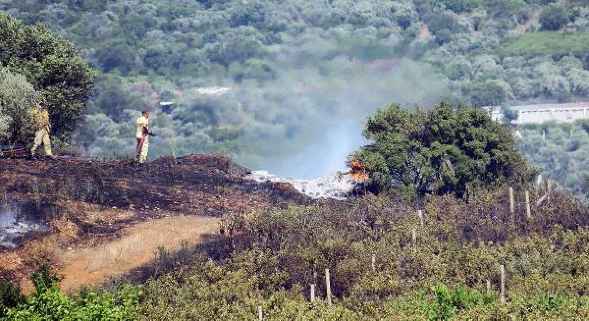 d Manisa'da orman yangını