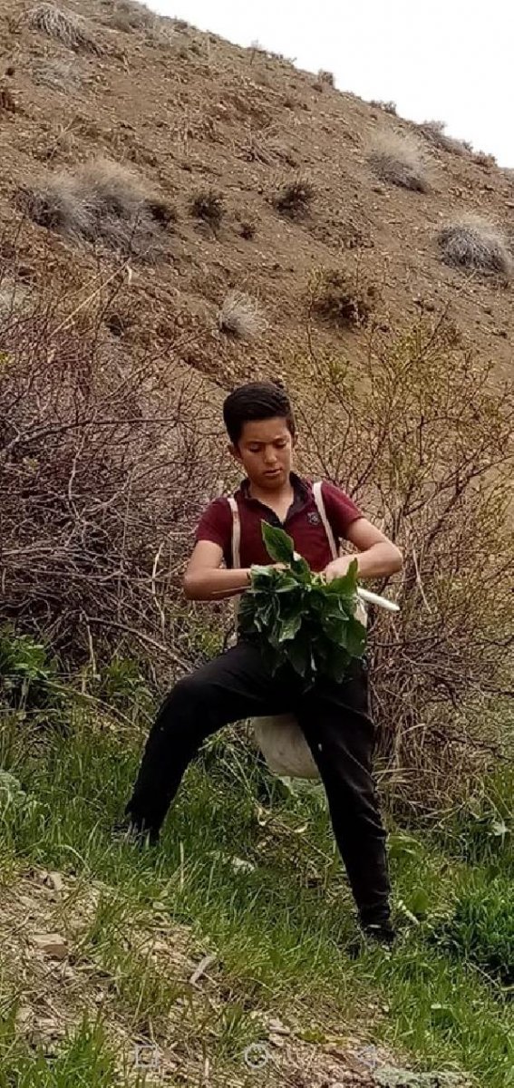 d Van'da, 12 yaşındaki çocuk arkadaşını öldürdü