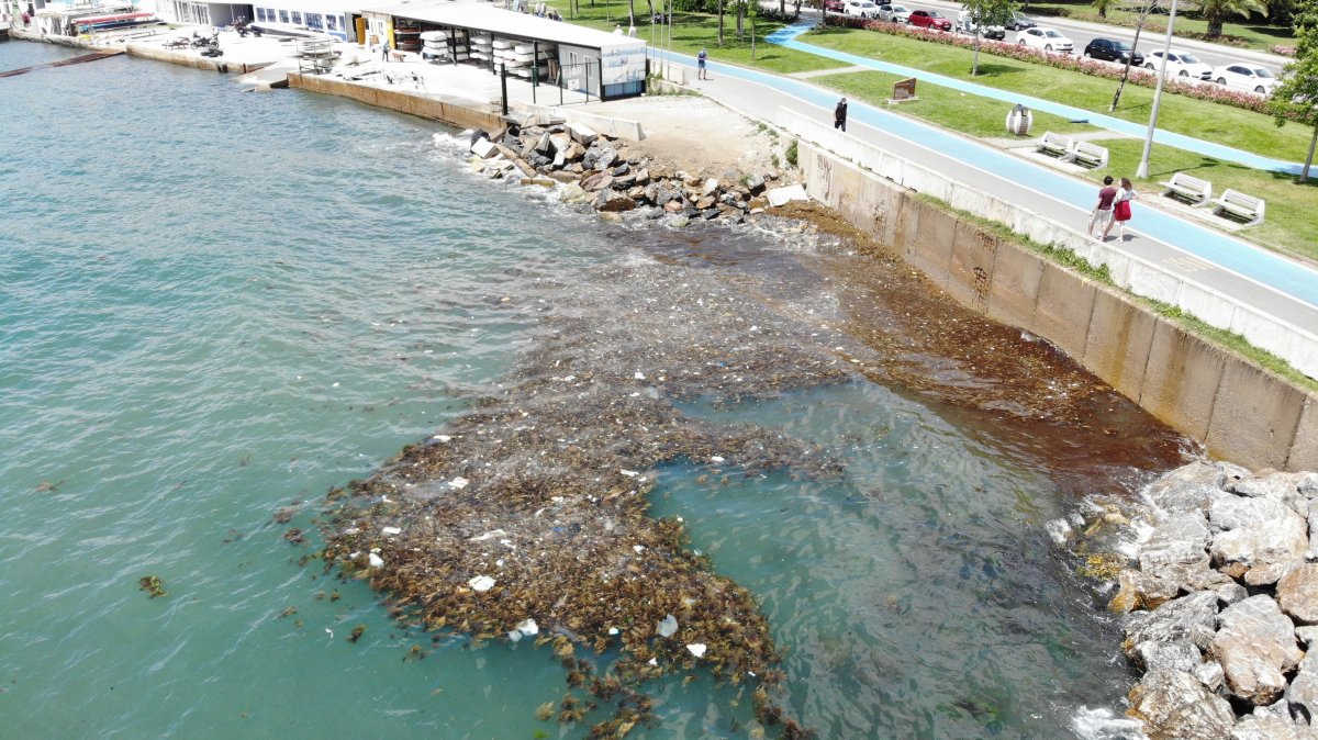 i Caddebostan Sahili'nde oluşan çöpler havadan görüntülendi