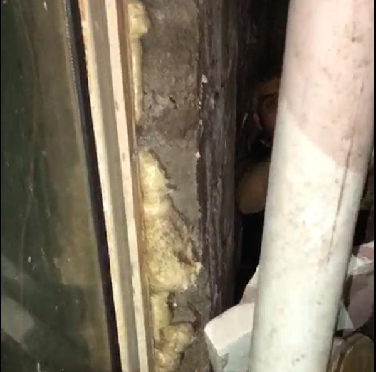 d Kendisini yakalamaya gelen polislere, 'ayıp size' dedi