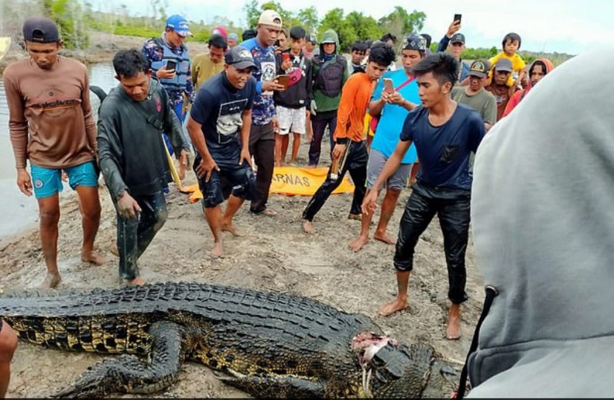 Endonezya'da kadının vücudu timsahın midesinden çıktı