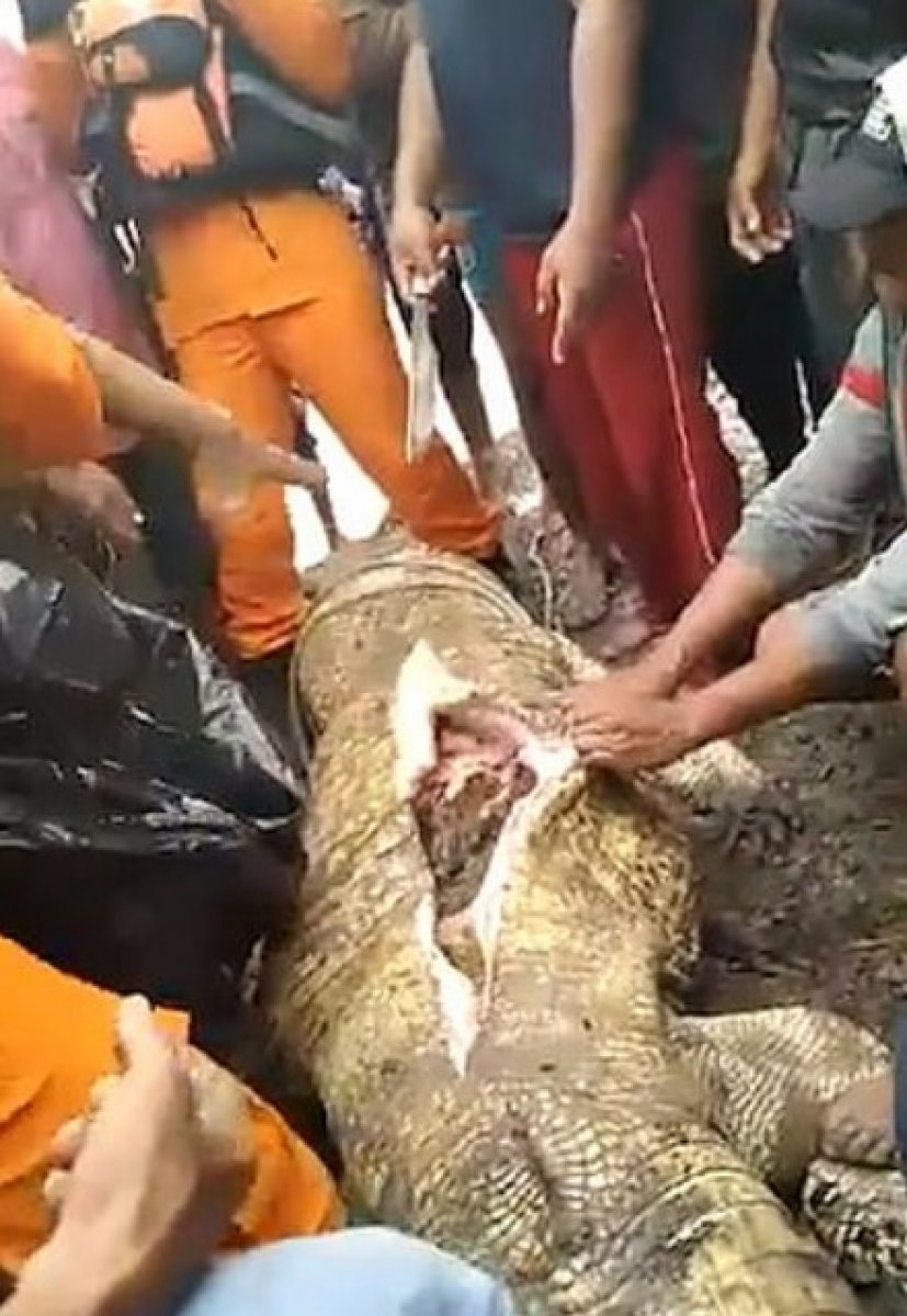 Endonezya'da kadının vücudu timsahın midesinden çıktı