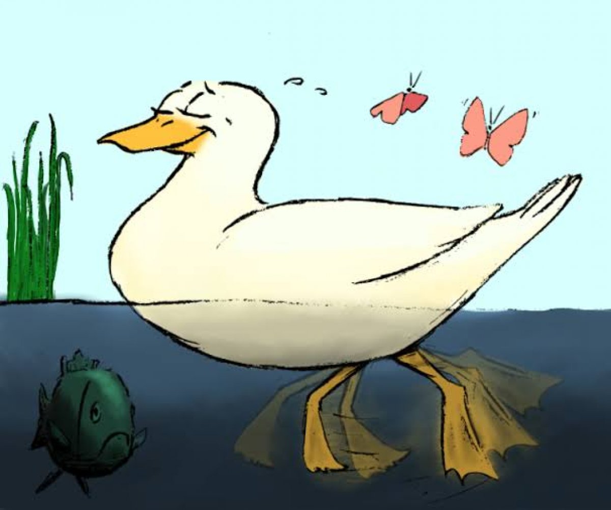 Stanford Ördek sendromu nedir