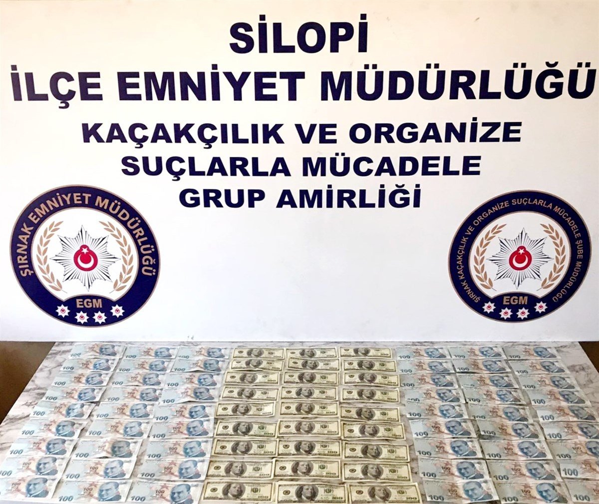 i Şırnak'ta kaçakçılık operasyonu: 33 gözaltı