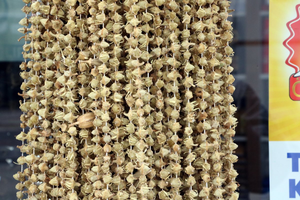 Kurutulunca kilosu 20 TL’den 230 TL’ye çıkıyor