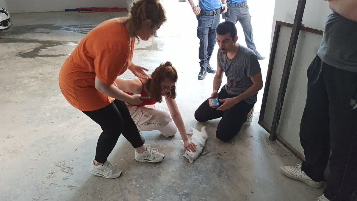 i Düzce'de kediyi kurtarmak için kalp masajı yaptı