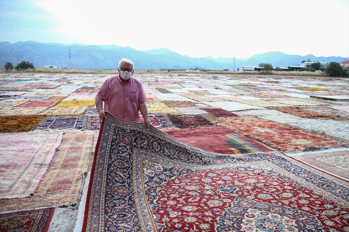 Antalya'da halı tarlalarının görsel şöleni