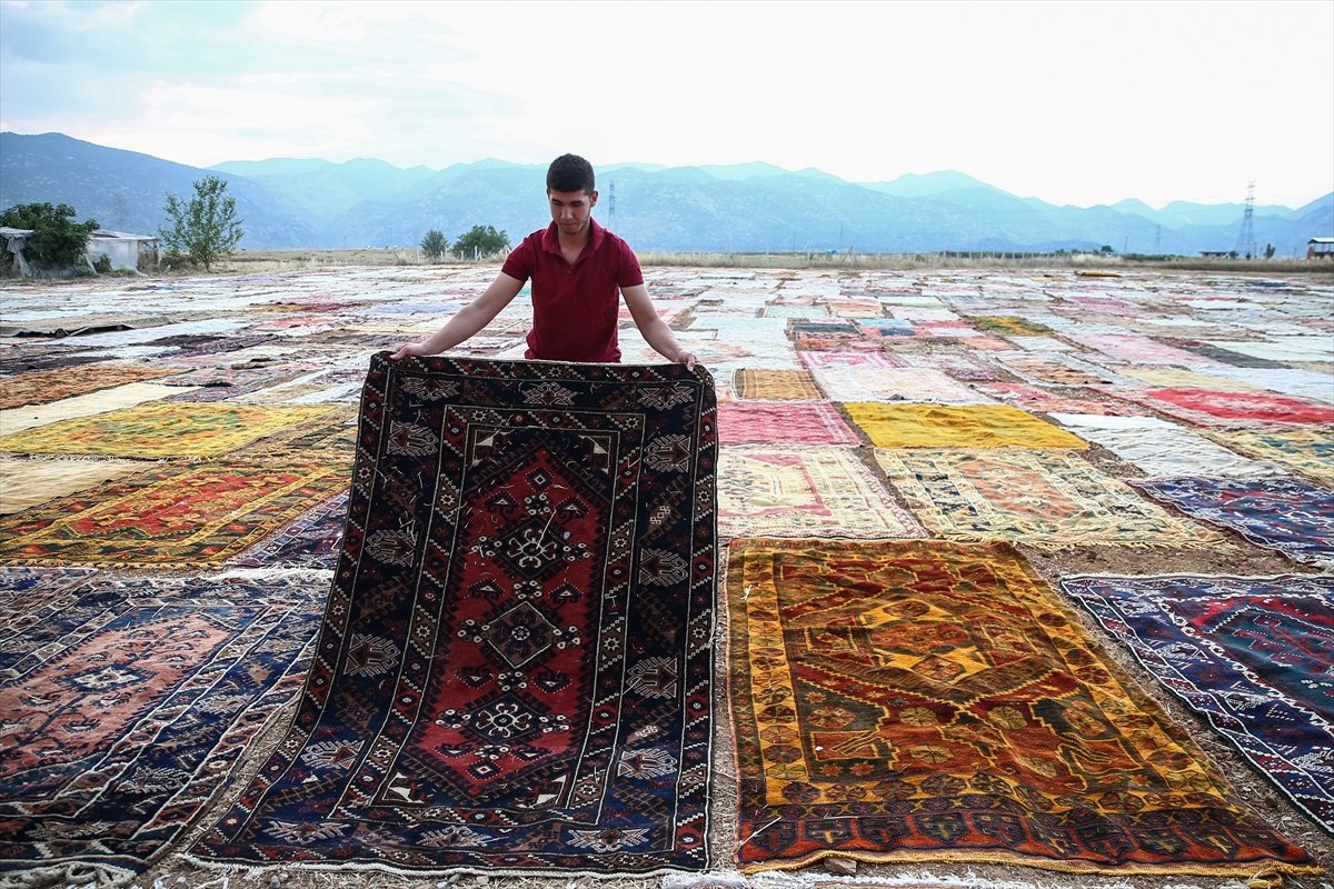 Antalya'da halı tarlalarının görsel şöleni