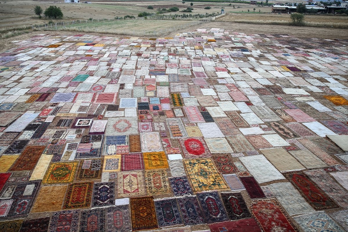 Antalya'da halı tarlalarının görsel şöleni