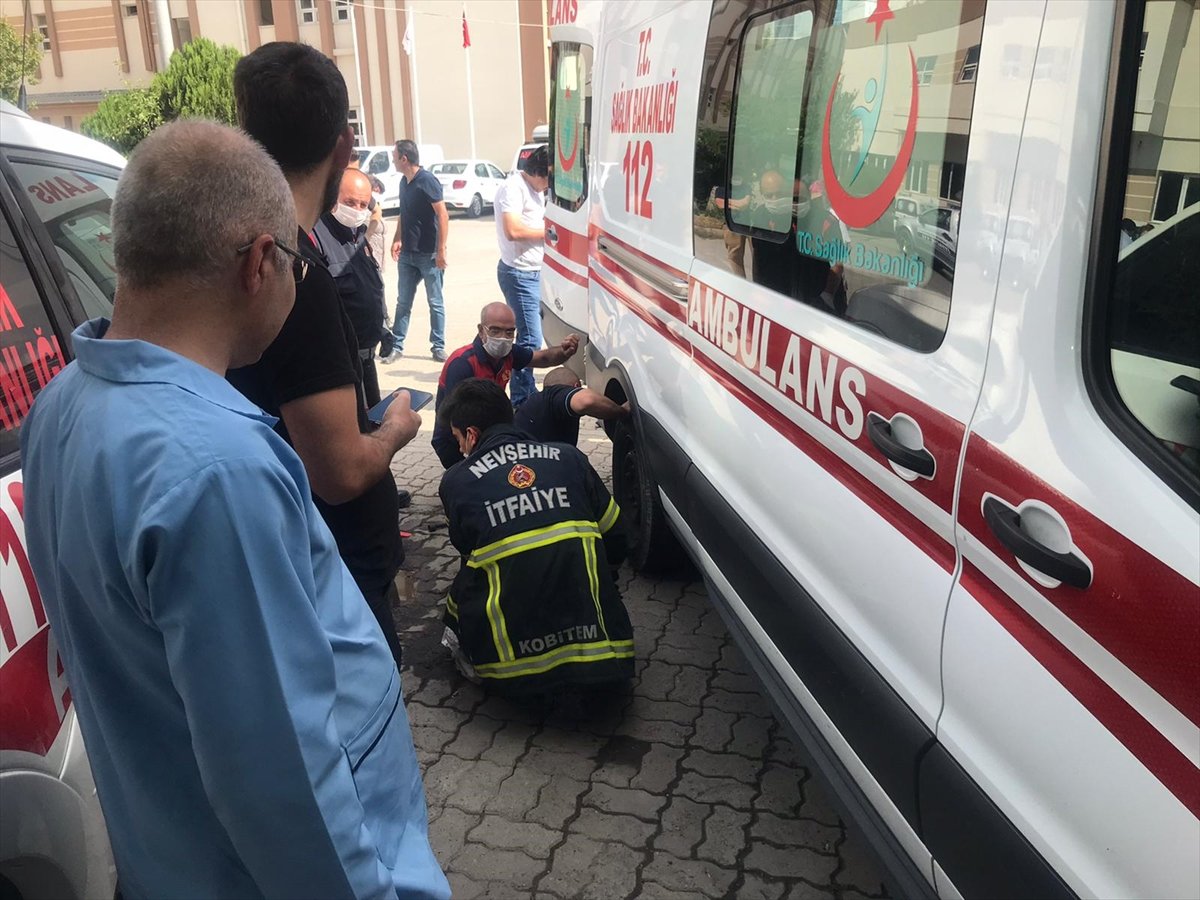 a Nevşehir'de ambulansın tekerine yılan dolandı