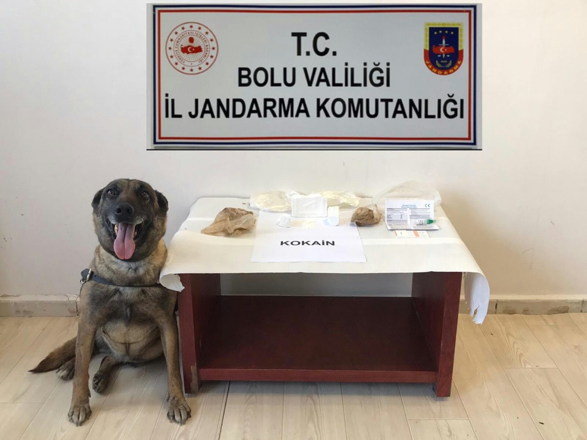 i Bolu'da yolcu otobüsünde 360 gram kokain yakalandı