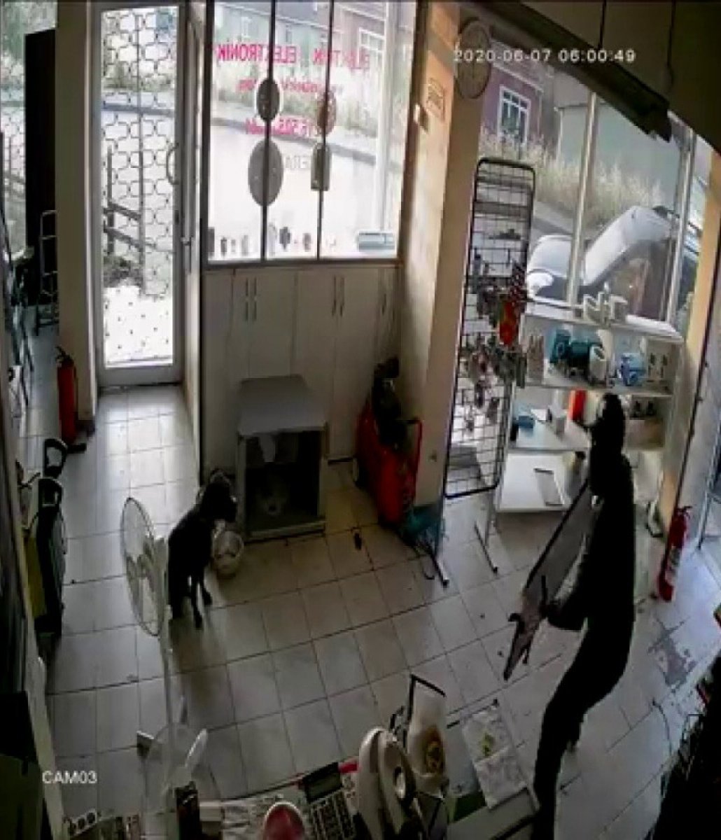 i Üsküdar'da dükkana giren hırsızları izleyen köpek