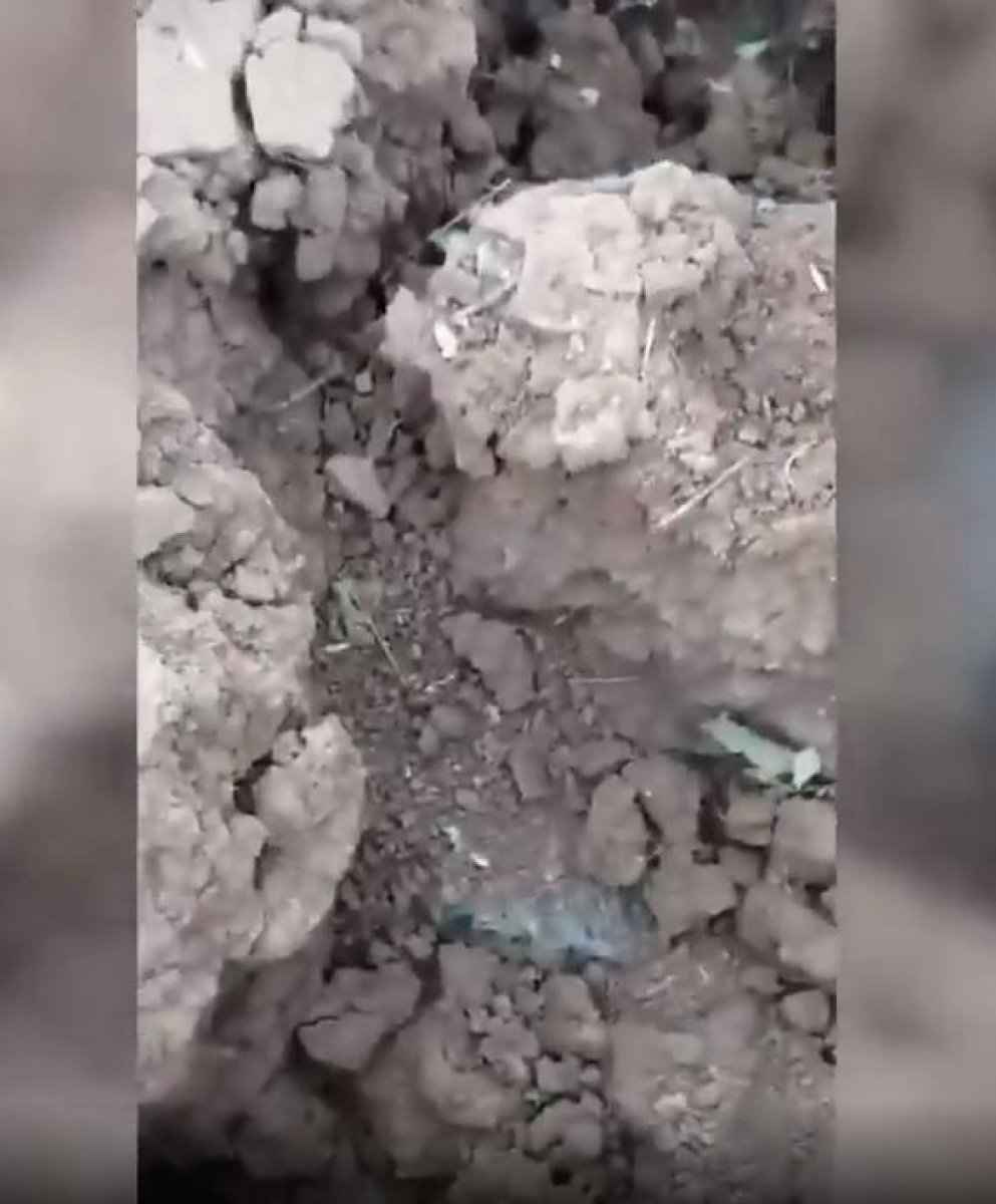 Haftanin'de teröristlerin tuzağını komandolar bozdu