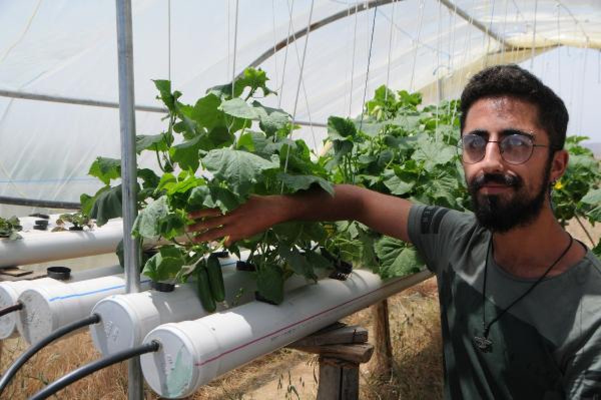 Tunceli'de tatili fırsat bildi, topraksız tarım yaptı