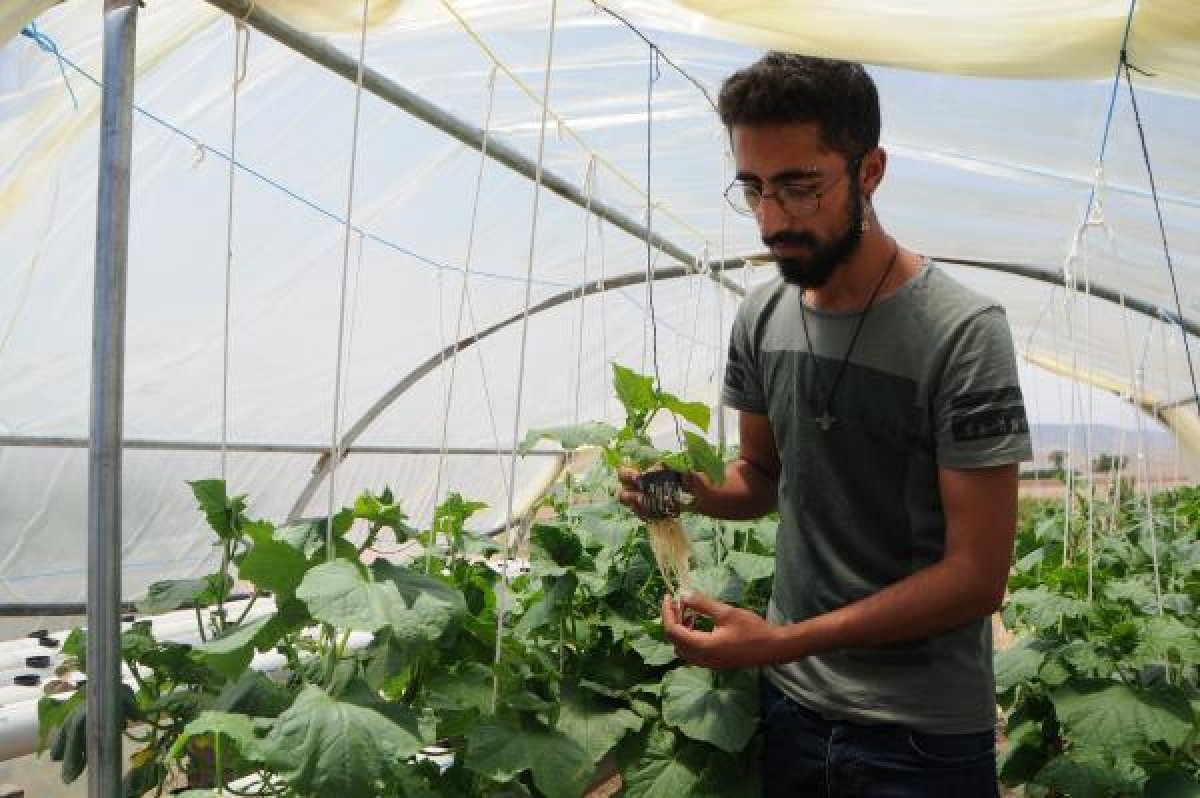 Tunceli'de tatili fırsat bildi, topraksız tarım yaptı