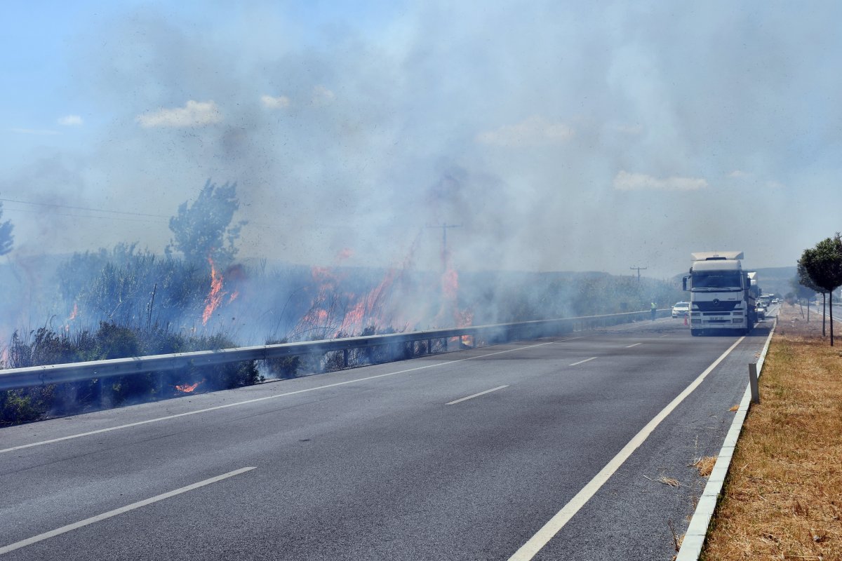 i Söke’deki sazlık alanda yangın çıktı