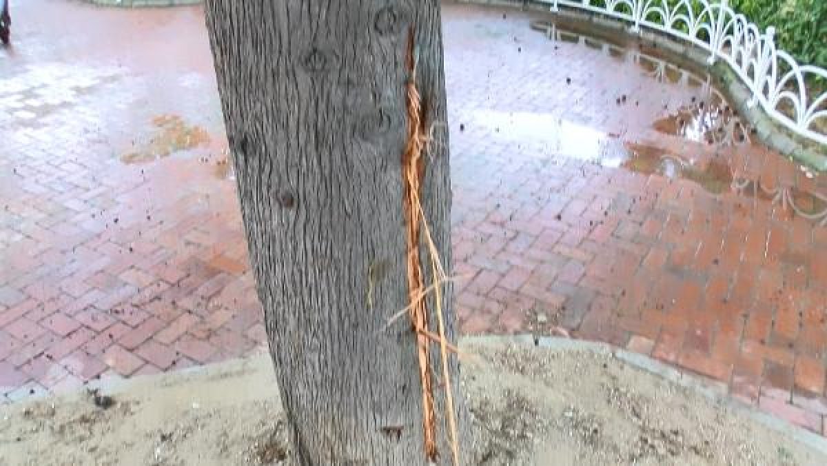 d Büyükçekmece'de yıldırım çarpan yaşlı adam öldü