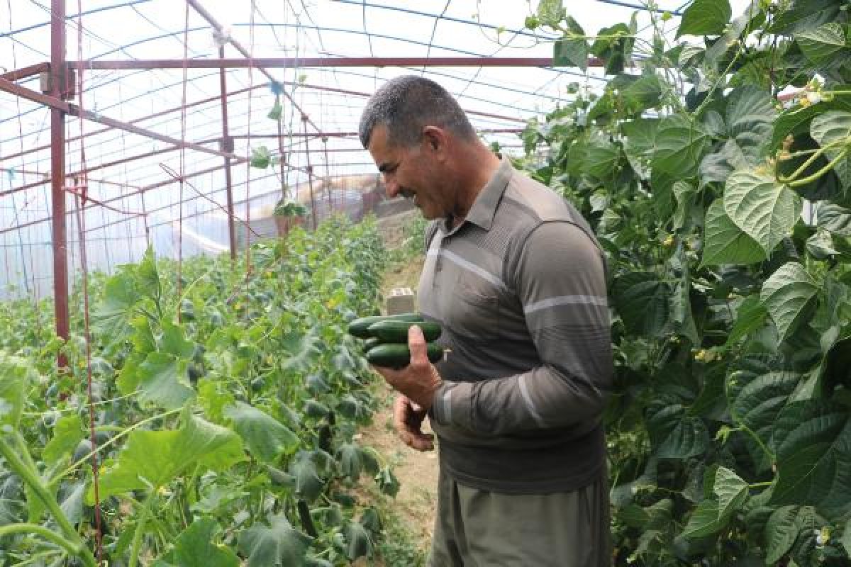 d Hakkari'de engelli 4 çocuğuna gözü gibi bakıyor
